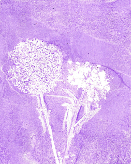 A square art print or textured panel featuring white pressed flowers on a textured lavender-purple background.