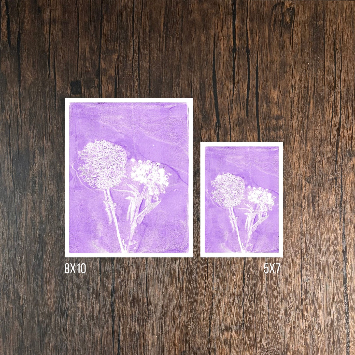 Purple Wildflower Prints on Wooden Background 8x10 and 5x7
